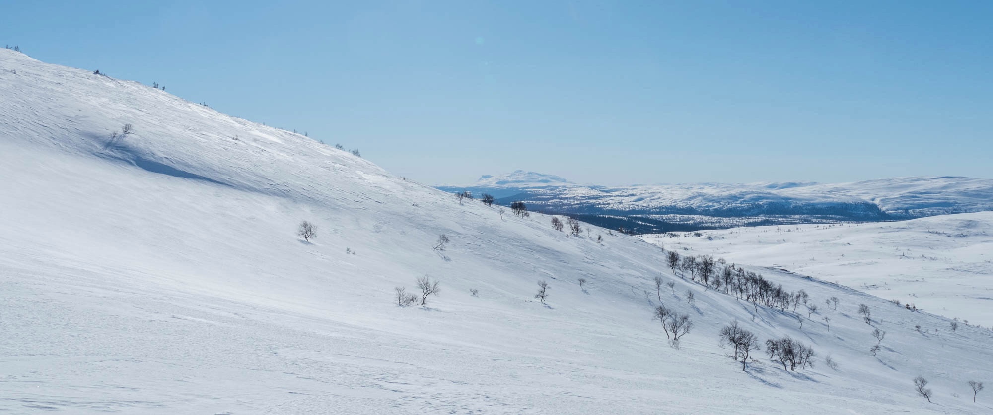 Skäckerfjällen